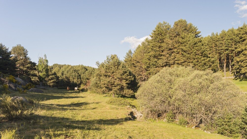 Sierra de Gredos