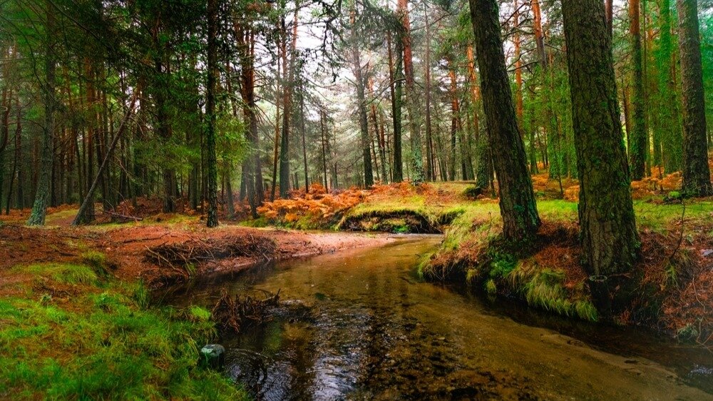 Sierra de Guadarrama
