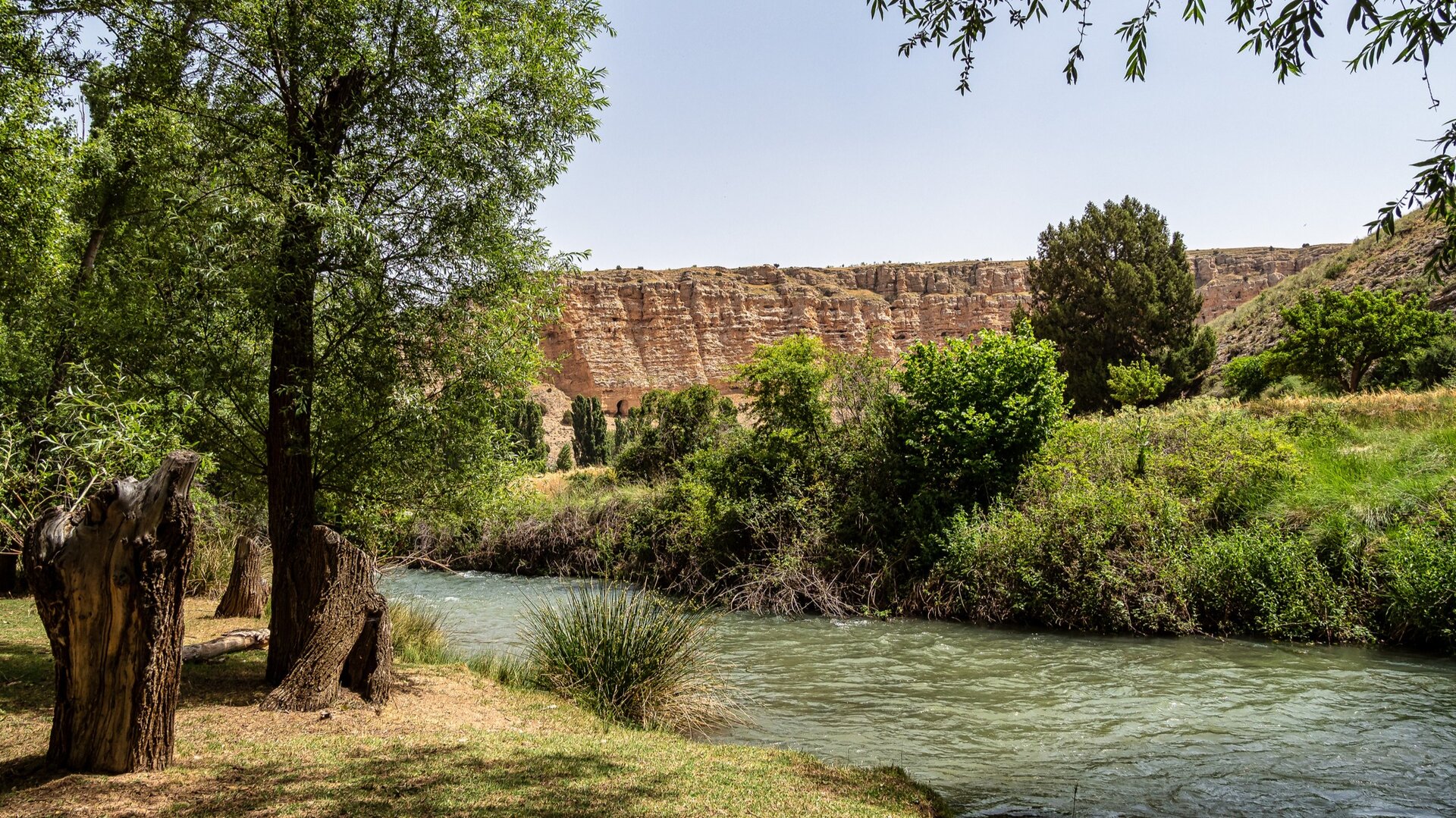 Parque Natural de las Hoces del Riaza