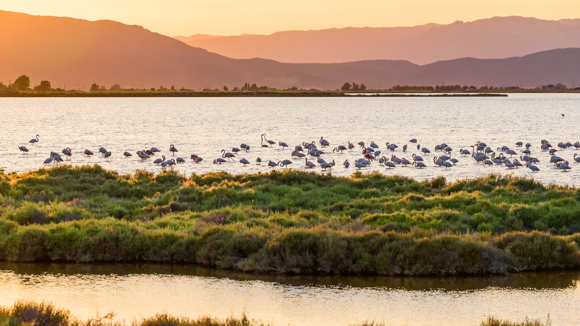 Delta del Ebro