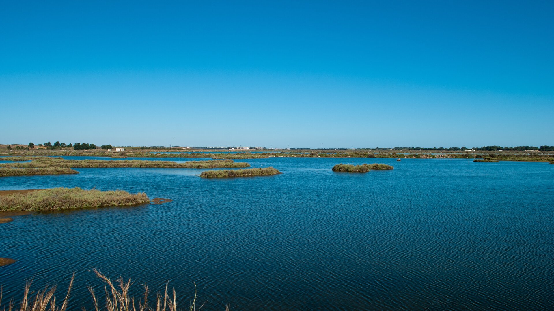 Marismas de Isla Cristina