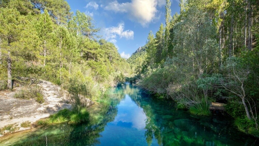 Parque Natural del Alto Tajo