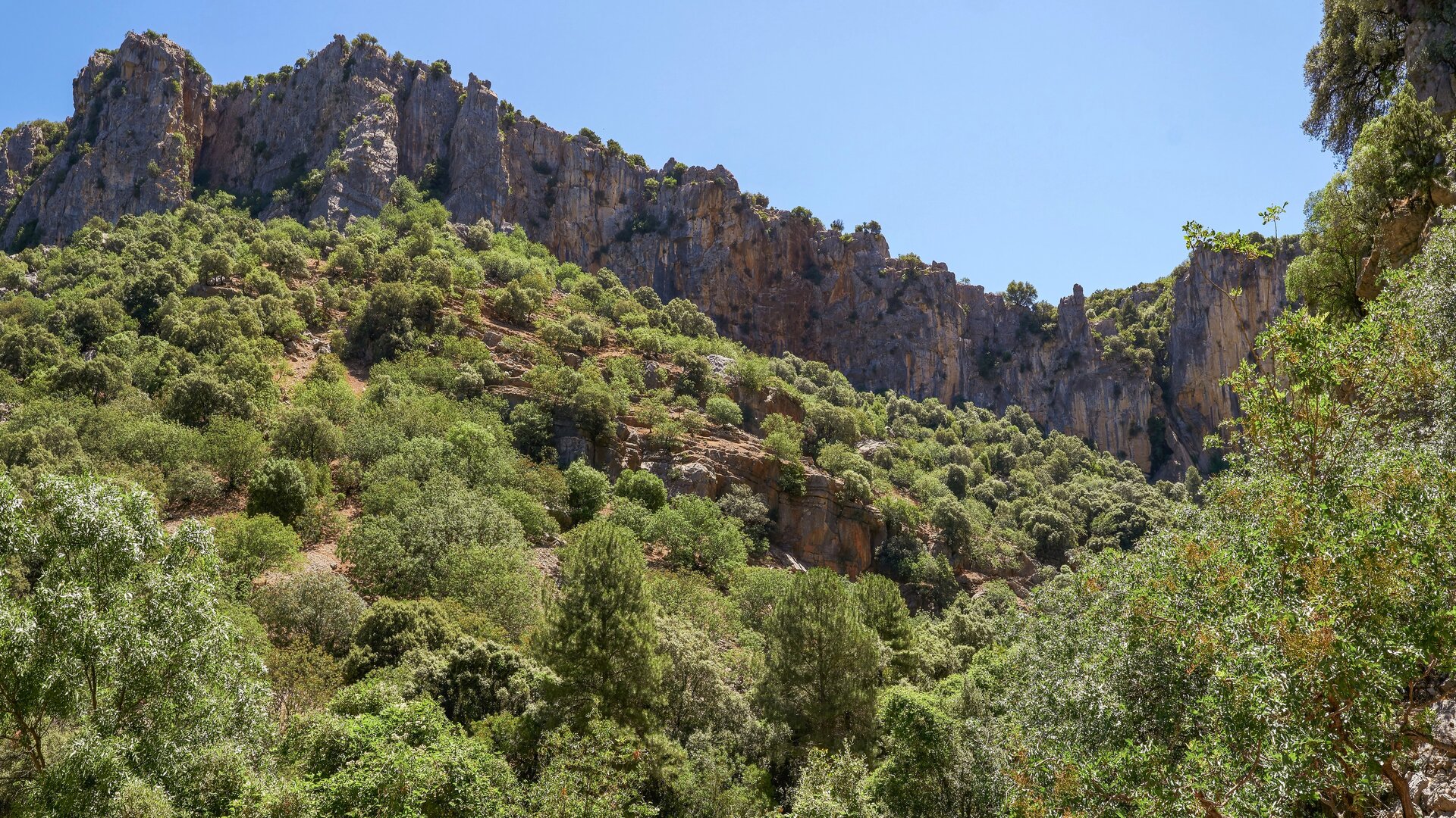 Parque Natural Sierra de Cazorla, Segura y Las Villas