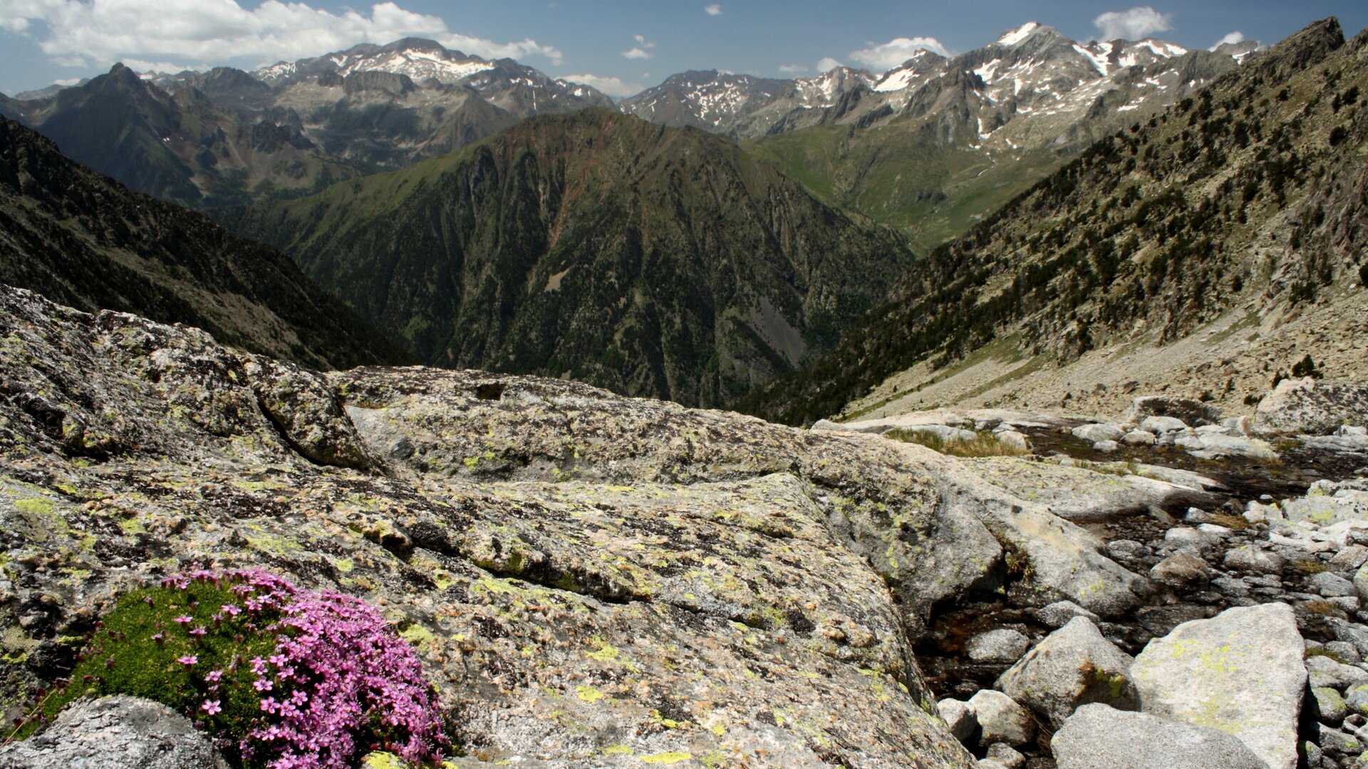 Vista aérea del valle de Benasque