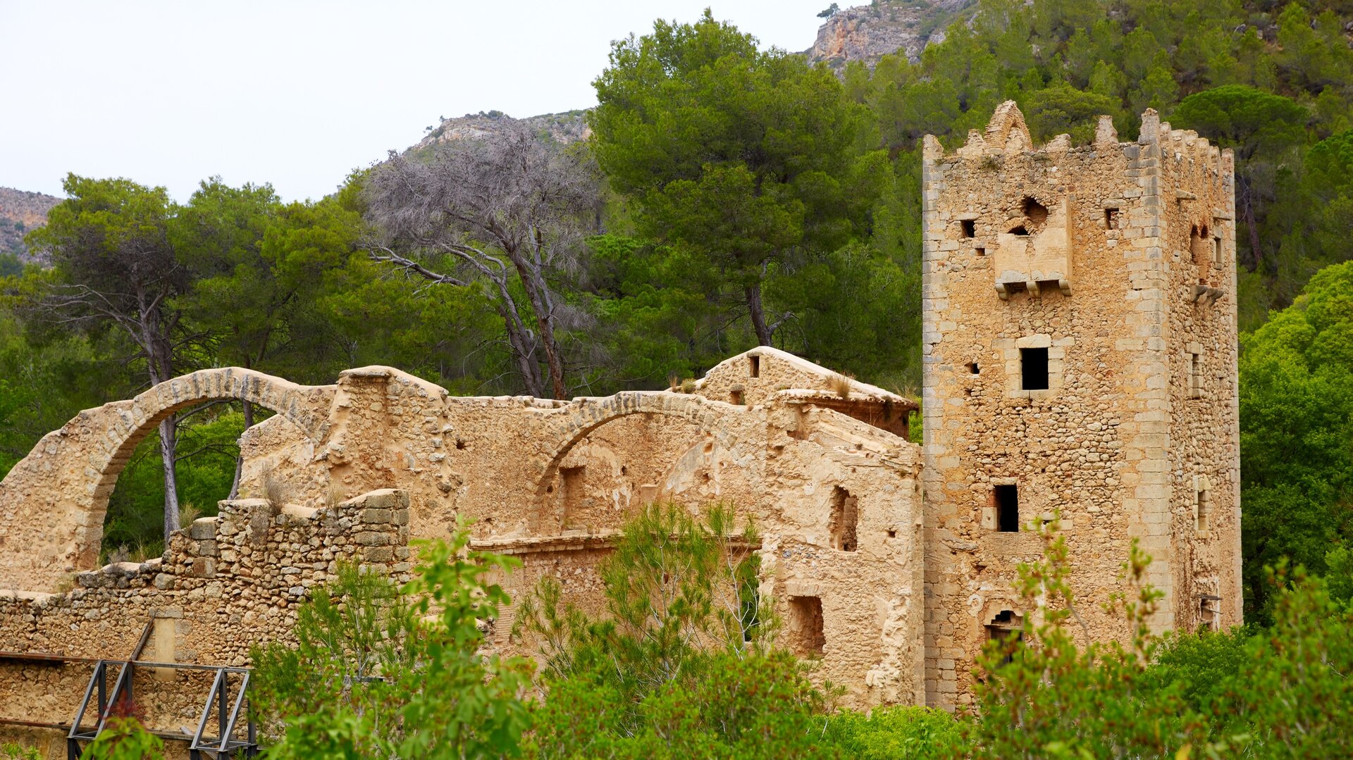 Ruinas del monasterio de los jerónimos, en el entorno de Alzira. 