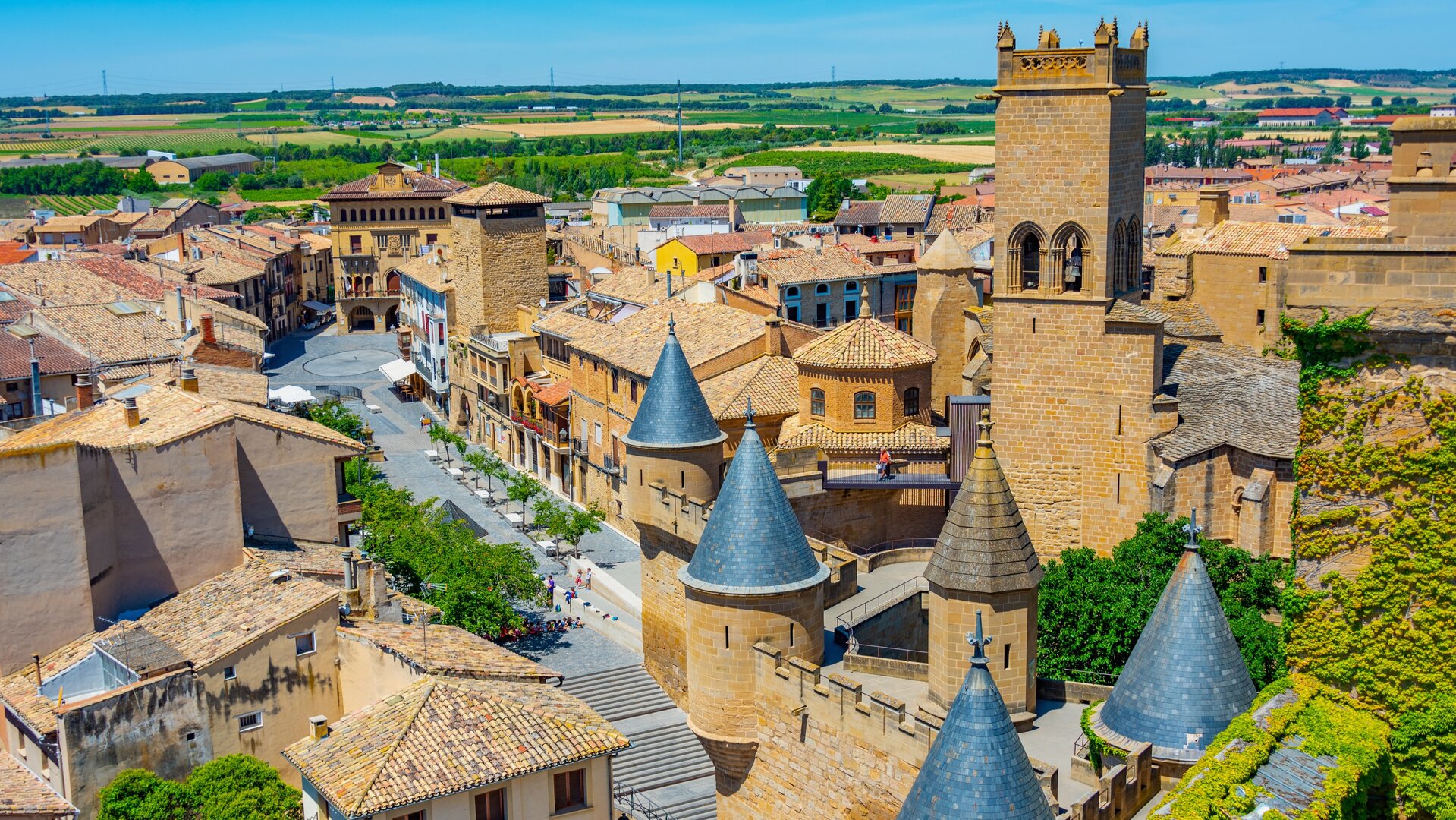Vista de Olite desde el Palacio Real.