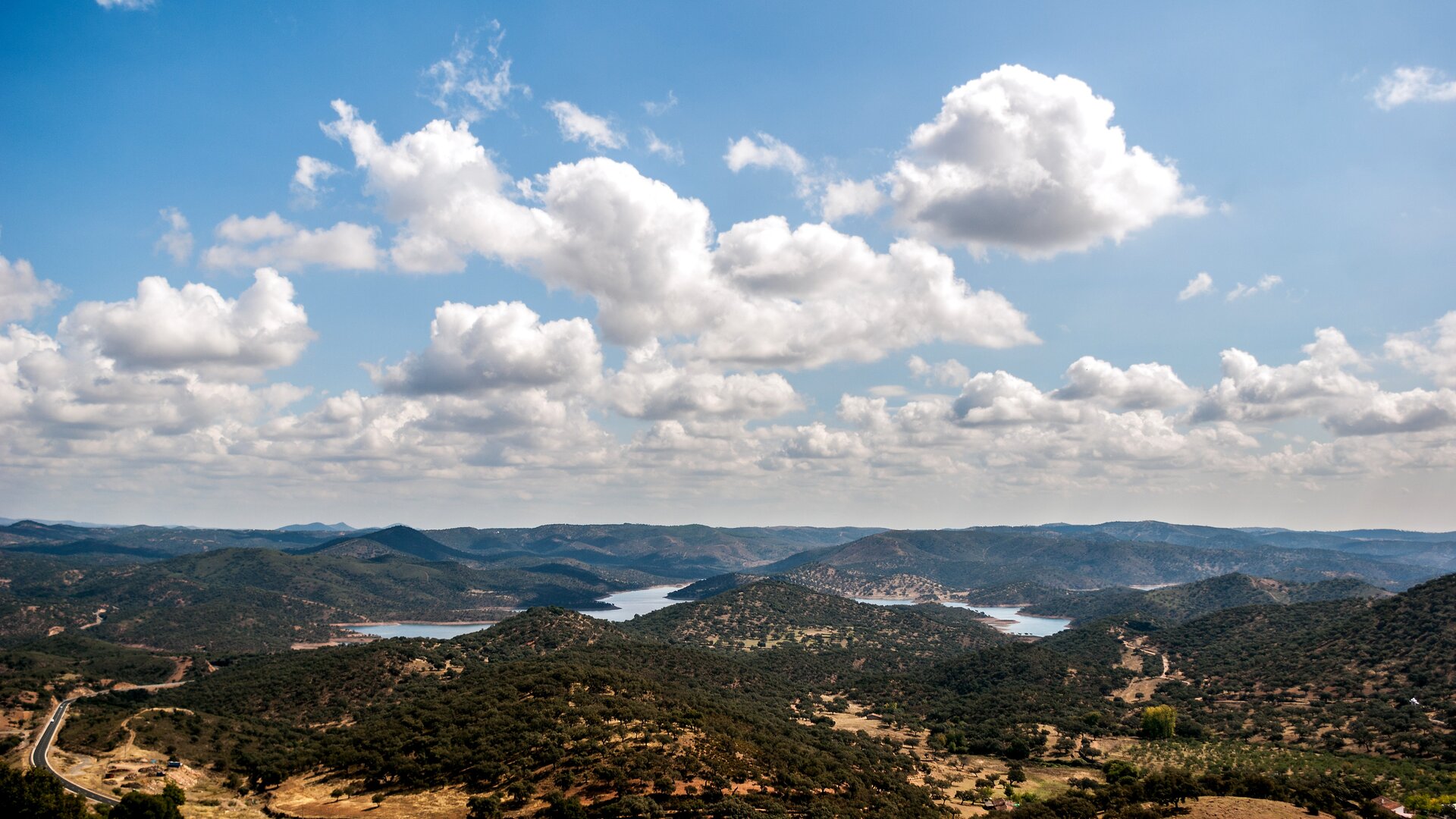 Montes del Parque Natural Sierra de Aracena y Picos de Aroche.