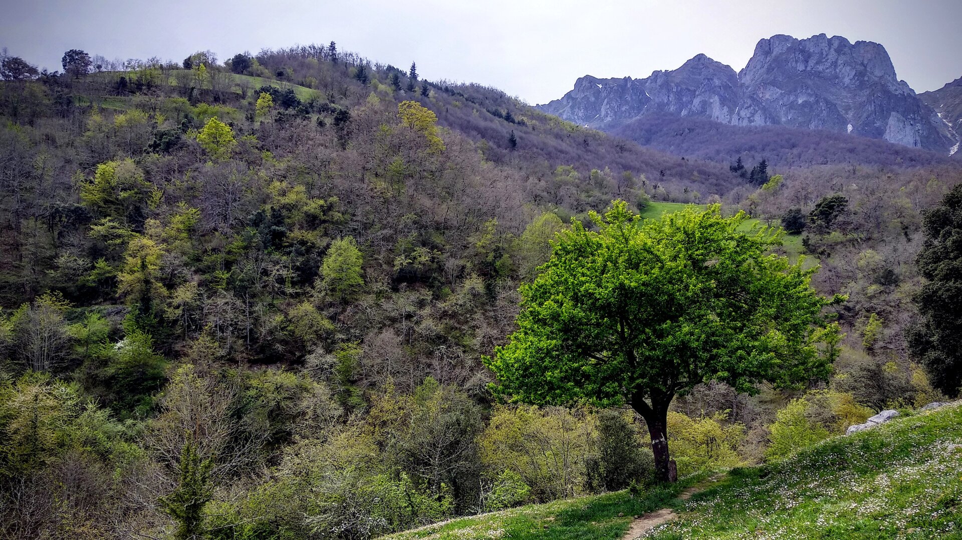 Paisaje en el entorno de Tanarrio
