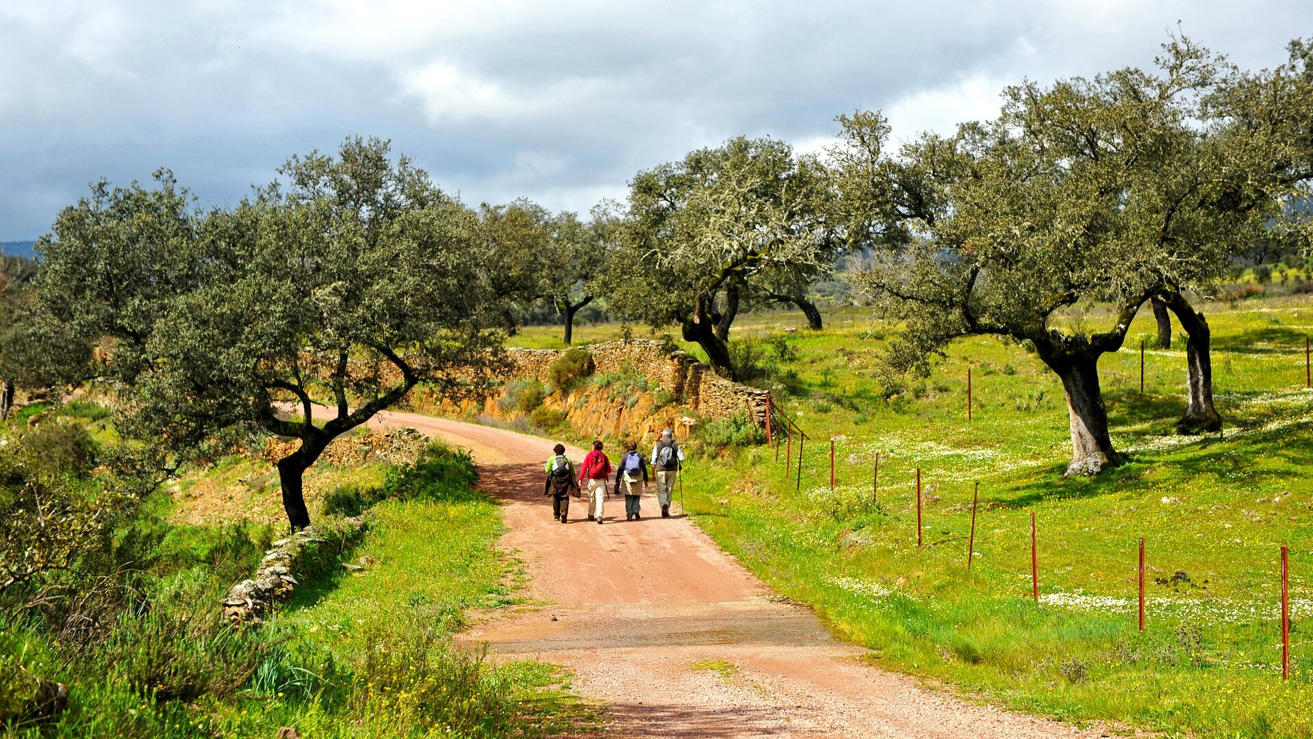Senderistas a través del Parque Natural Sierra de Aracena y Picos de Aroche.