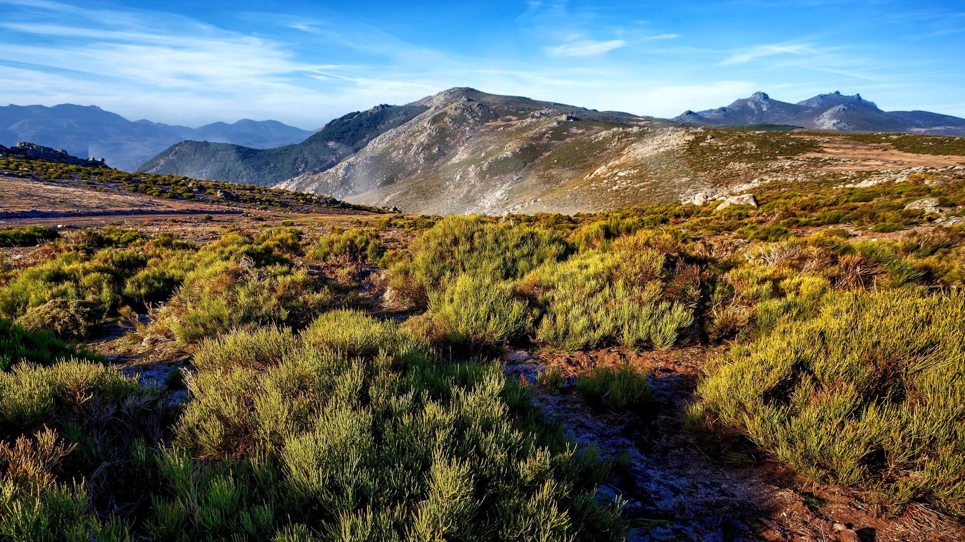 Sierra de la Paramera, entorno natural de Cepeda la Mora