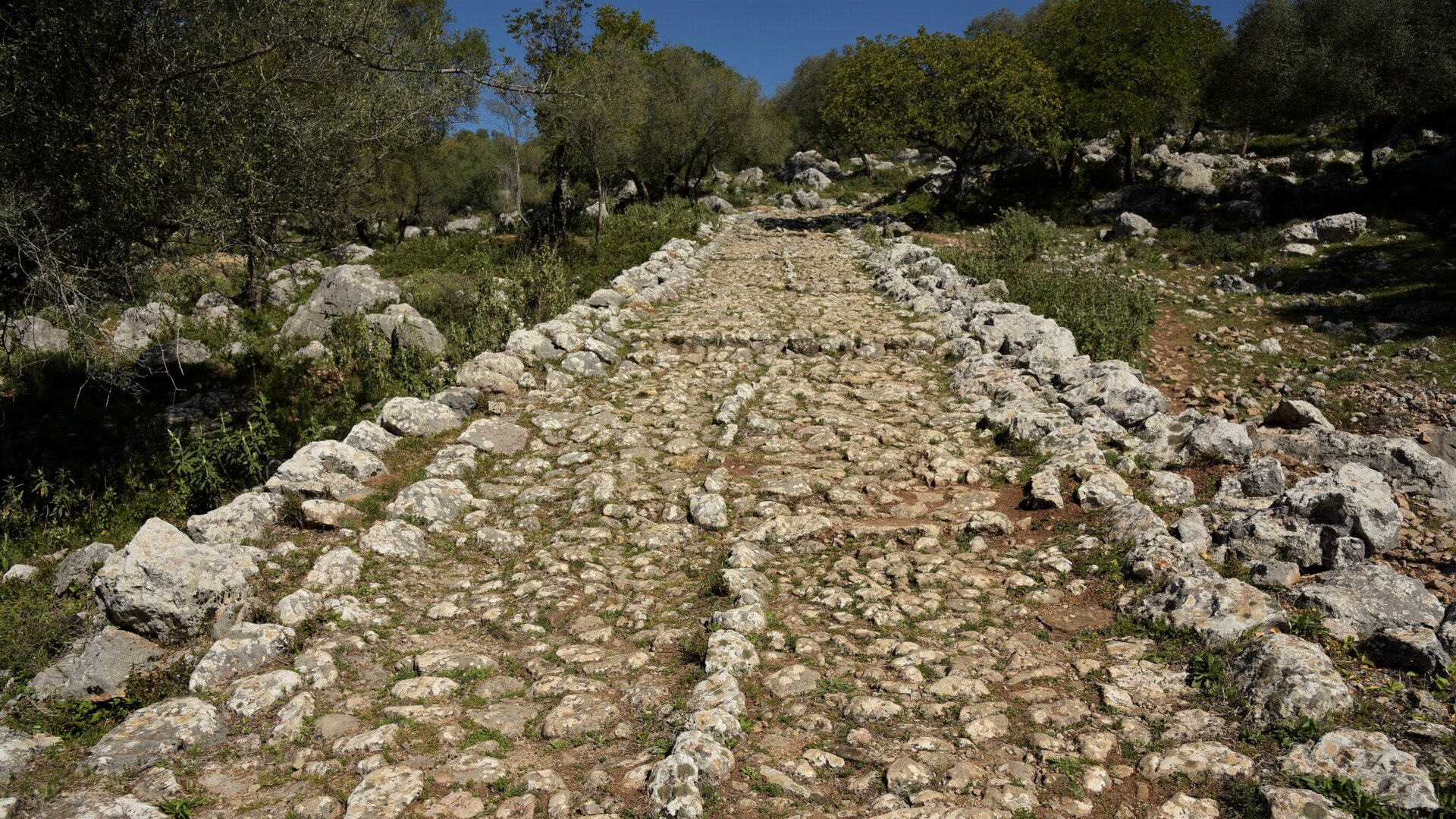 Calzada romana que une Benaocaz con el pueblo de Ubrique.