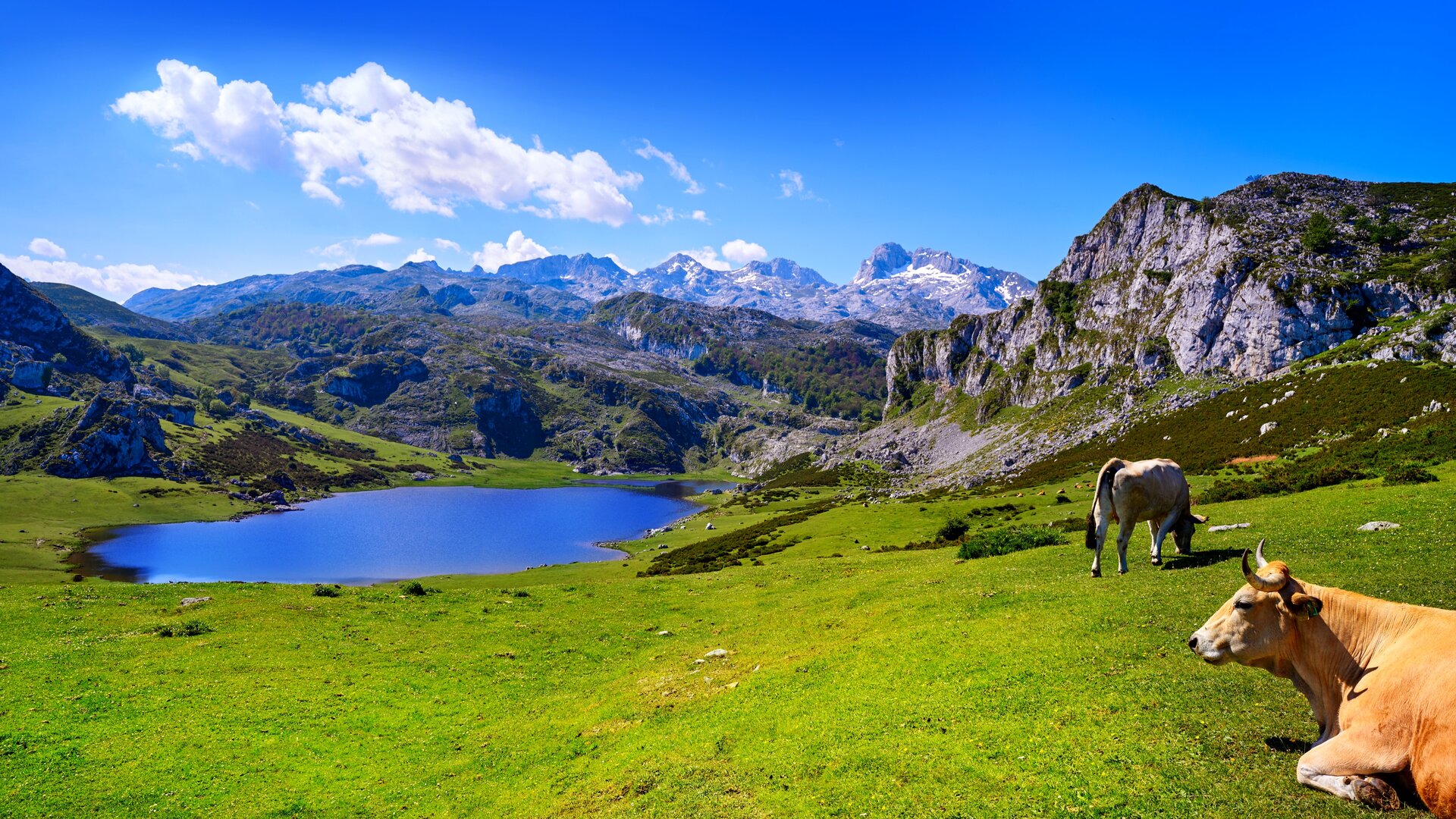 dreamstime_xl_127176575