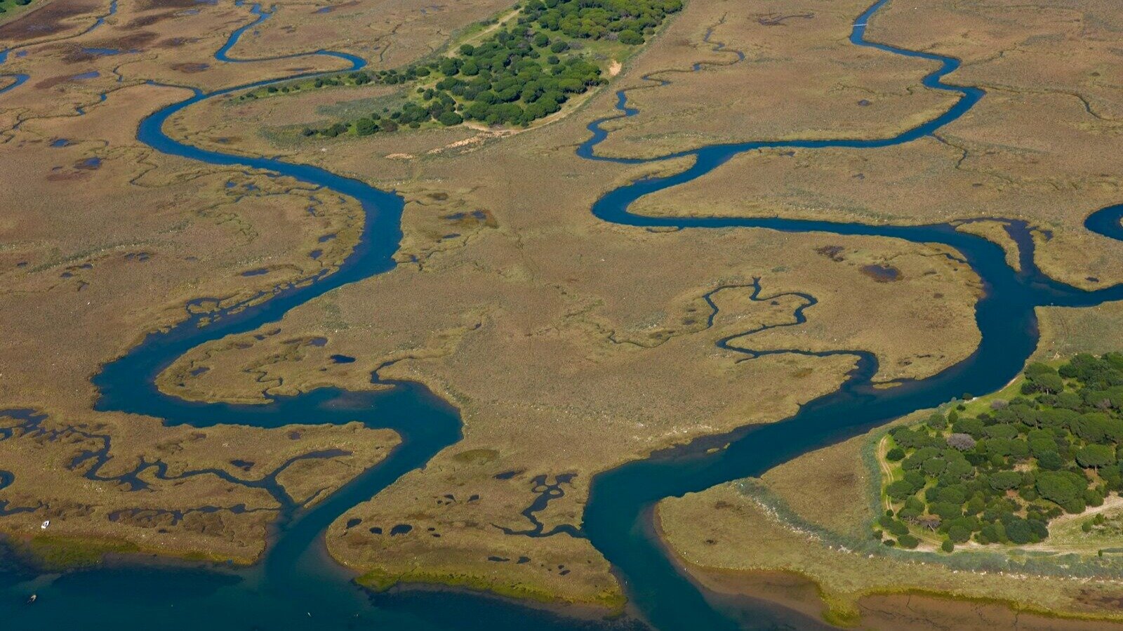 Vista aérea del Paraje Natural Marismas del Odiel. | Shutterstock