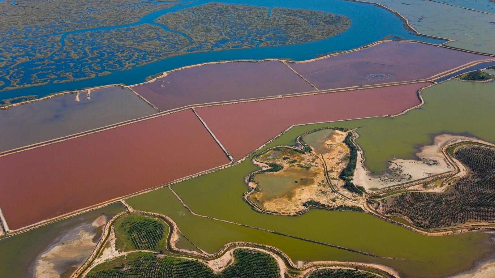 Mosaico natural de formas y colores en el Paraje Natural Marismas del Odiel. | Shutterstock