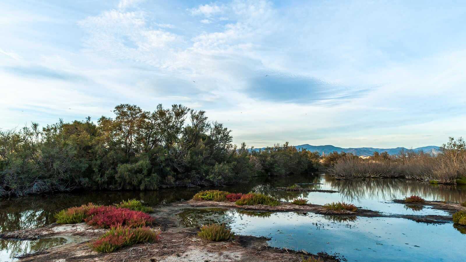 Vista del Paraje Natural de la Desembocadura del Guadalhorce. | Shutterstock