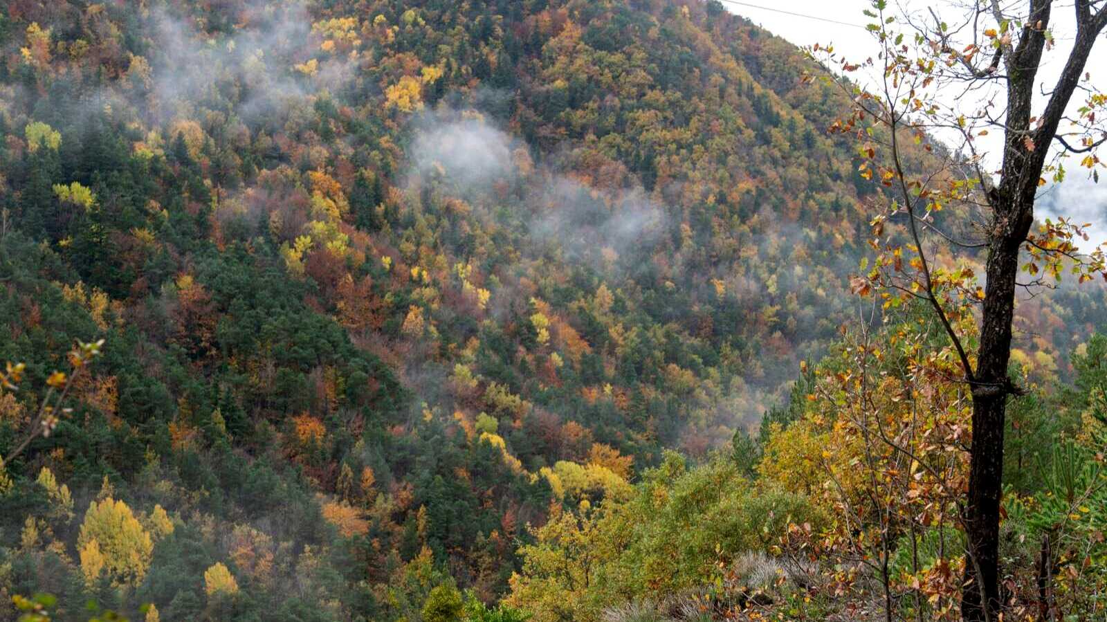 Paisaje del Parque Nacional de Ordesa y Monte Perdido. | Shutterstock