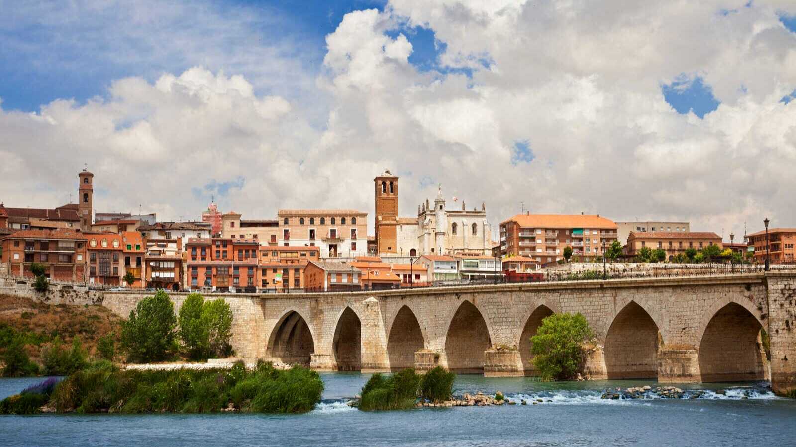 Vista panorámica de Tordesillas. | Dreamstime