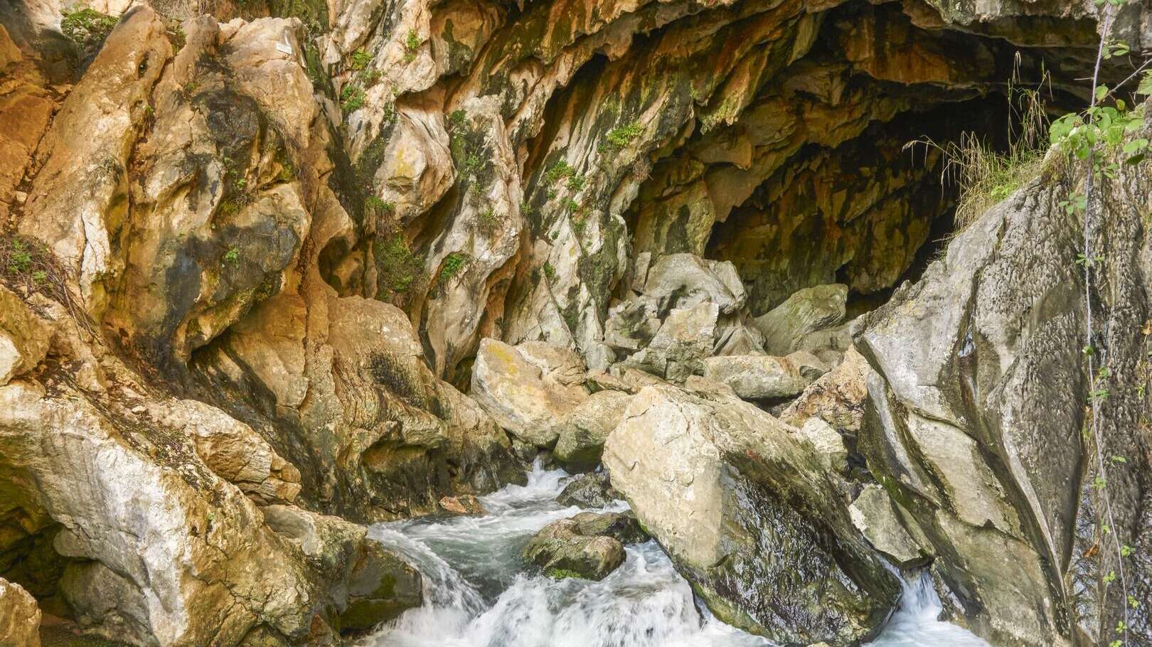 Entrada a la cueva. | Shutterstock