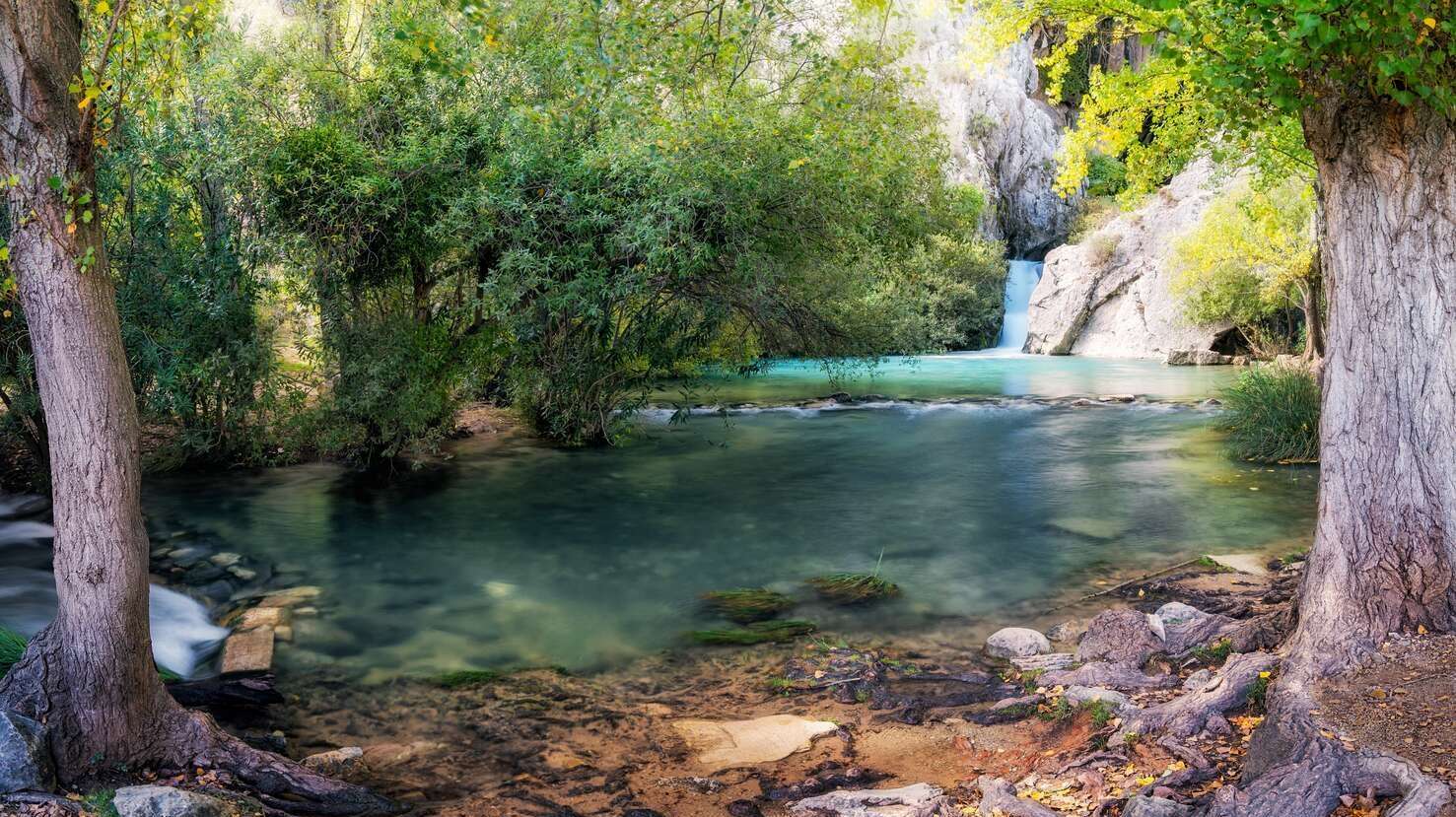 Entorno de la cueva. | Shutterstock