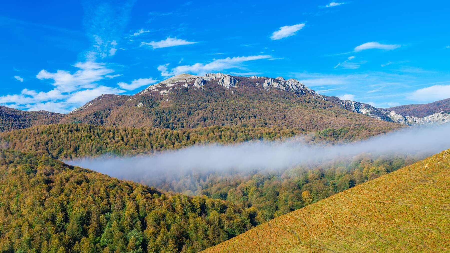 Parque Natural de Aizkorri. | Shutterstock