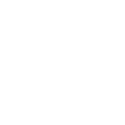 Es Fascinante