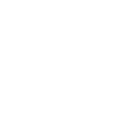 Spanish Friday