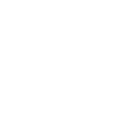 Clidea