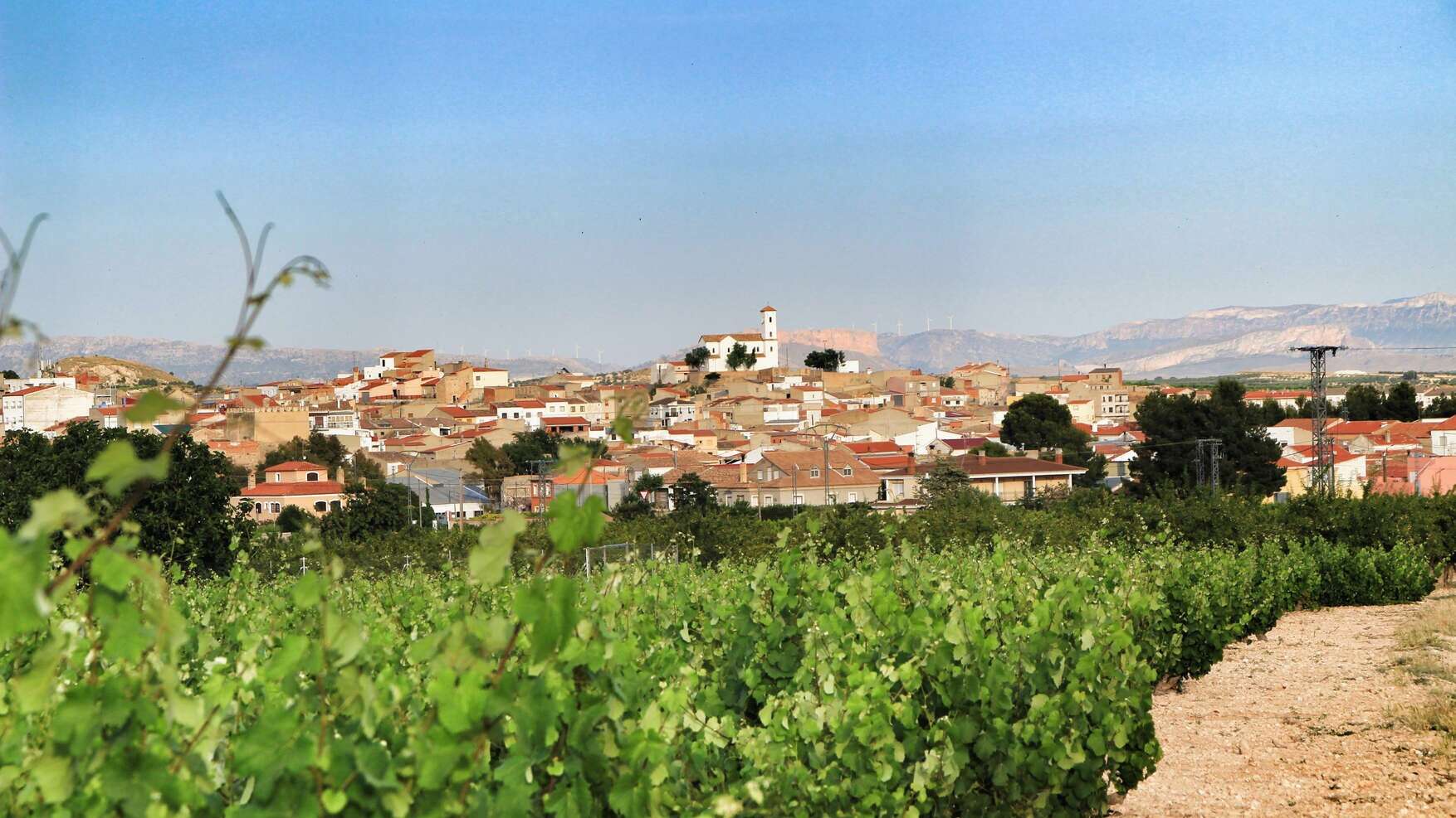 Vistas de Jumilla. | Shutterstock