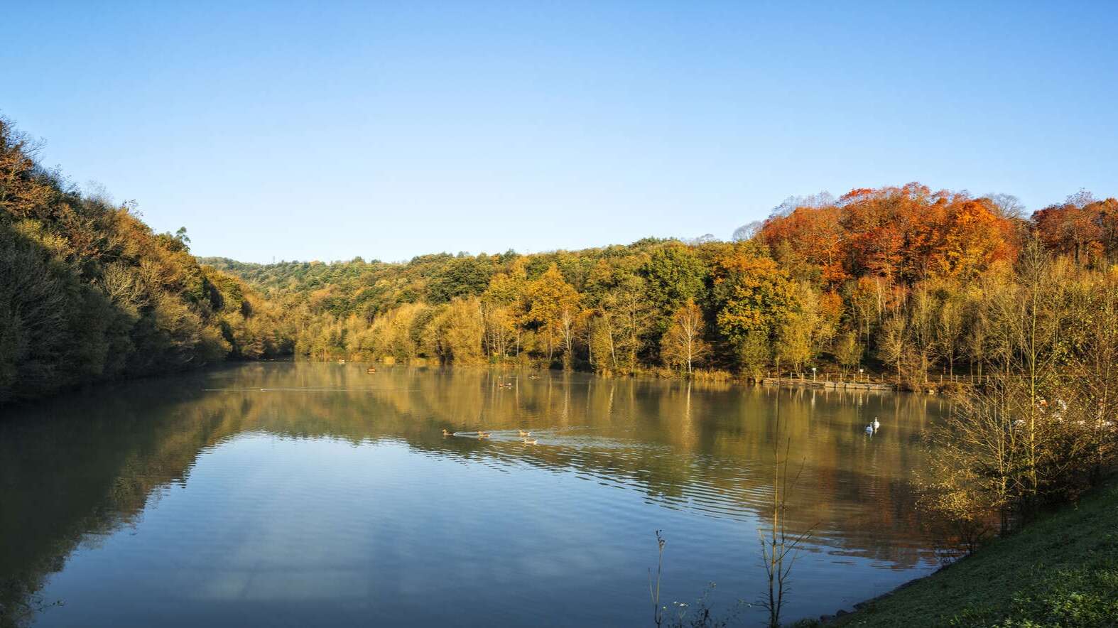 Embalse del Parque Mendikosolo