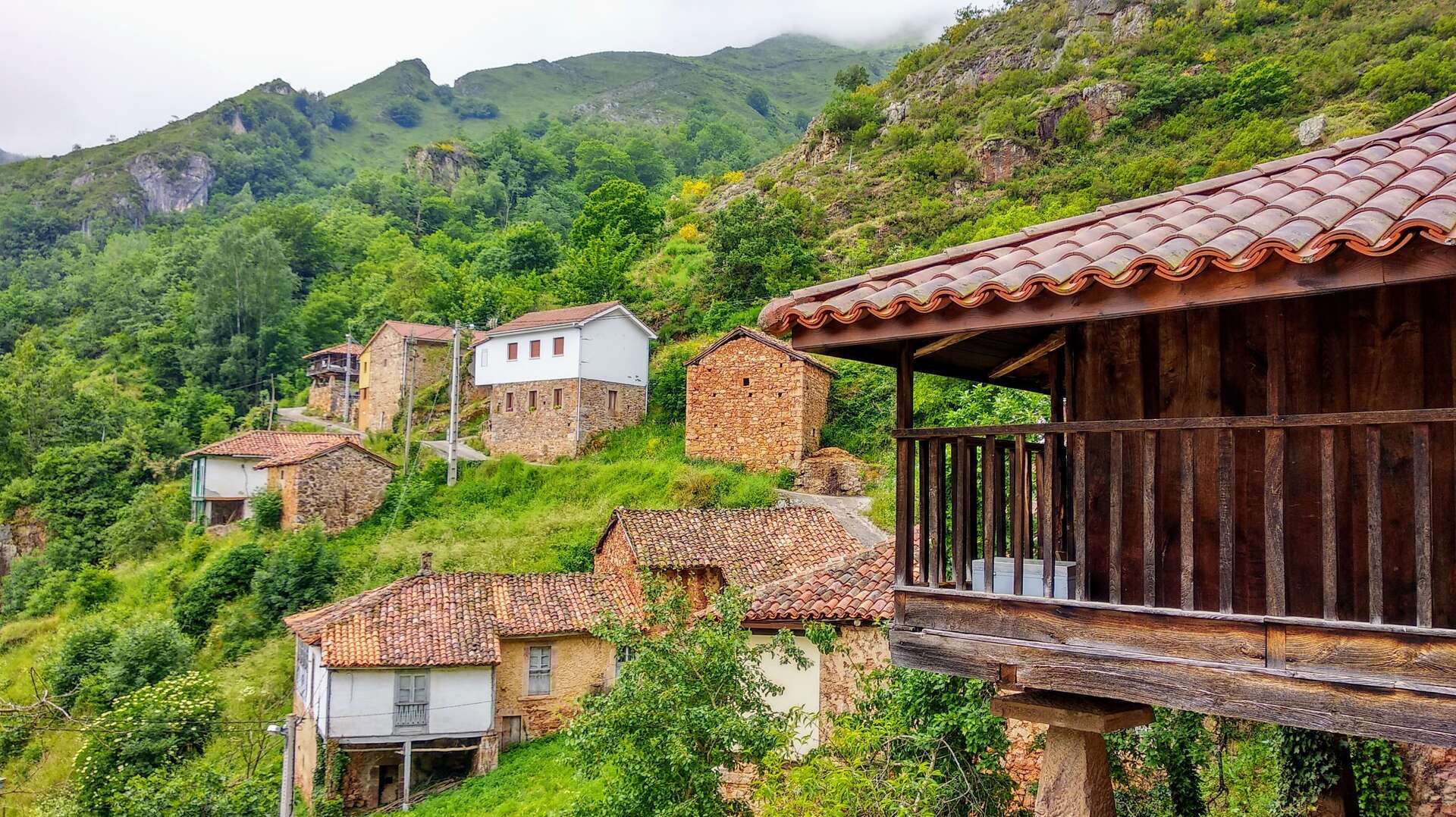 Pineda. | Shutterstock