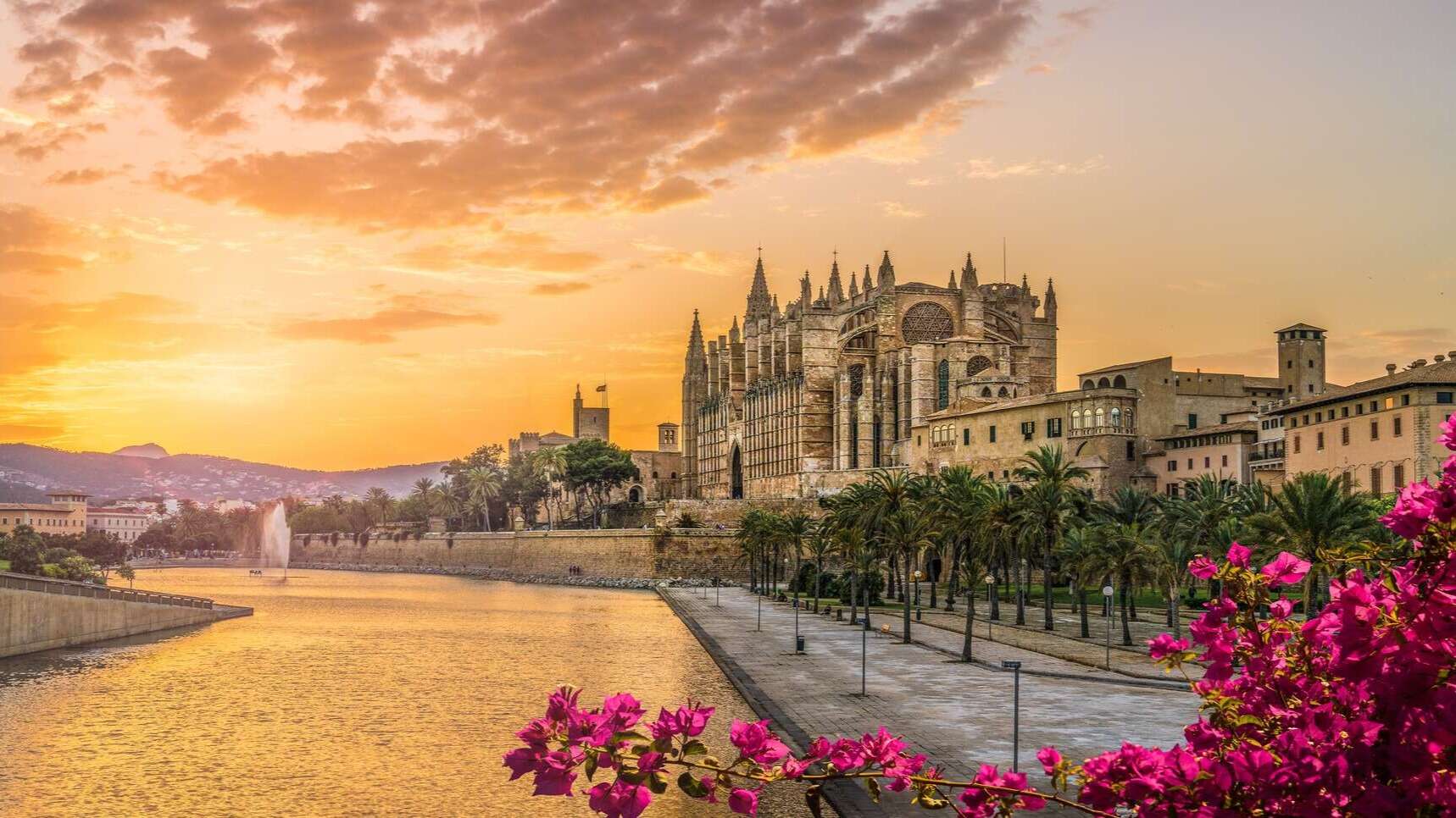 Palma. | Shutterstock