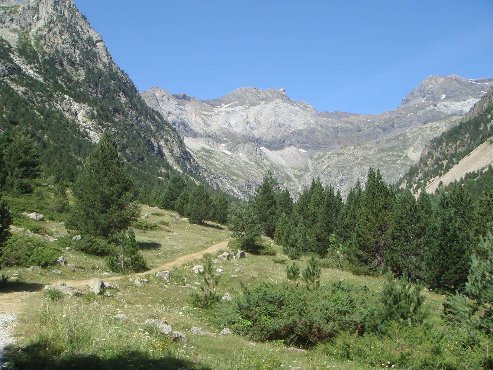 Montañas y bosques en el Valle de Barrosa.