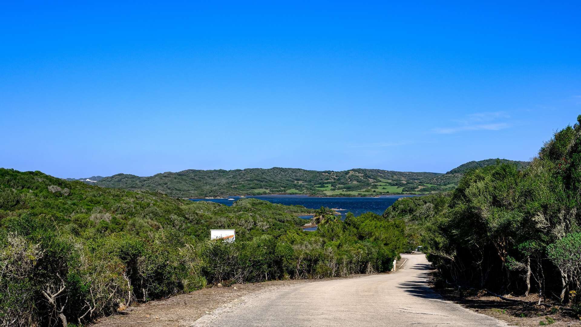 Carretera rodeada de naturaleza en Menorca. | Shutterstock