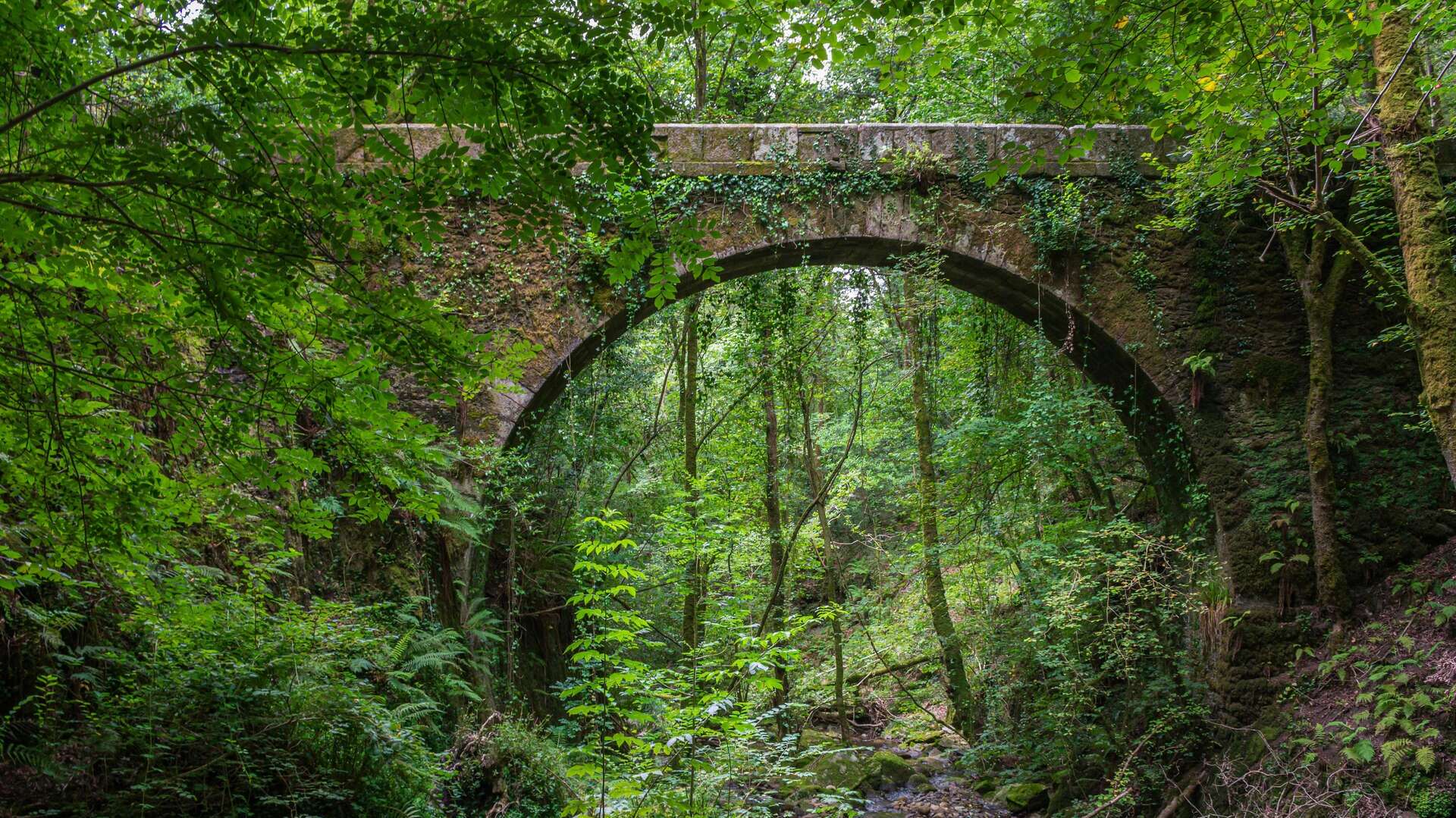 Fragas do Eume Dreamstime