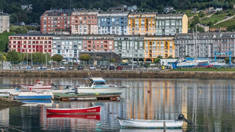 viveiro shutterstock_2590713323