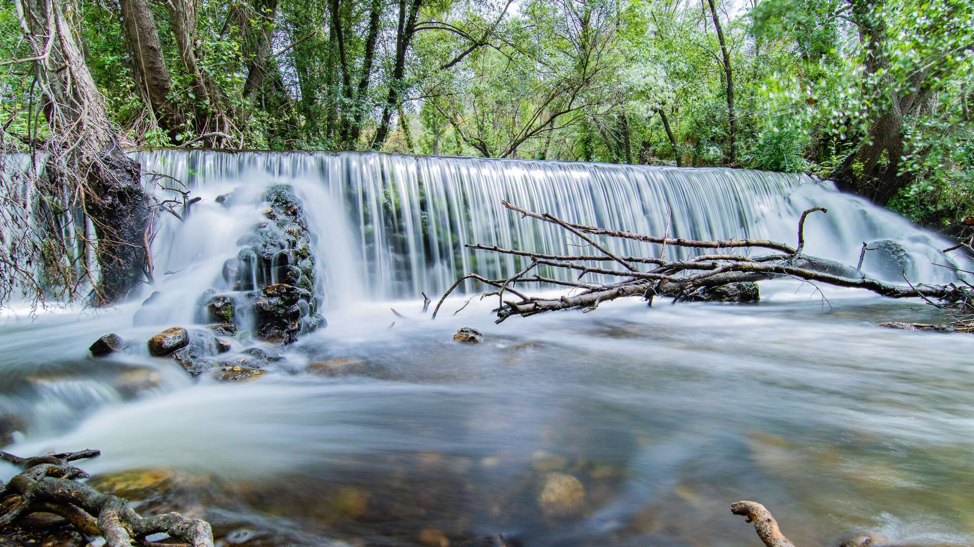hervidero shutterstock_1972594109