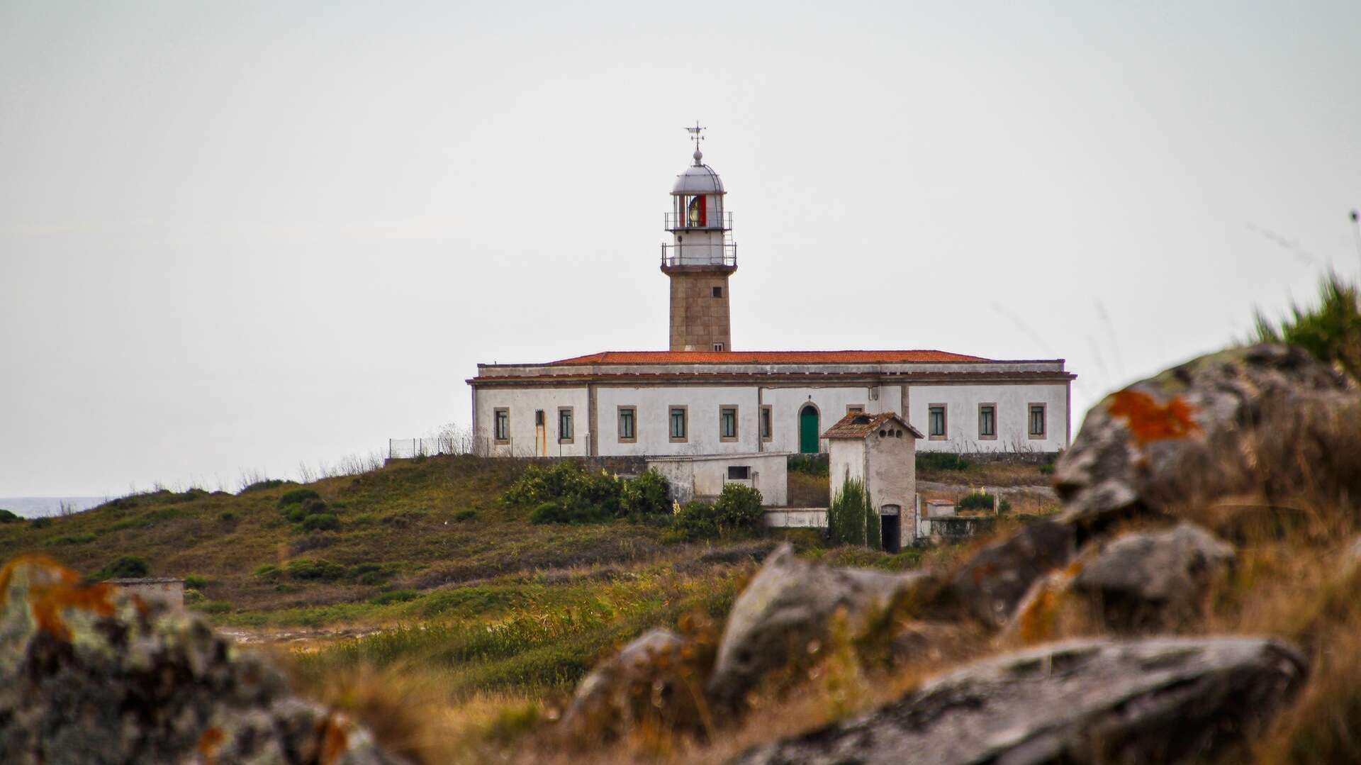 lariño shutterstock_2473083345
