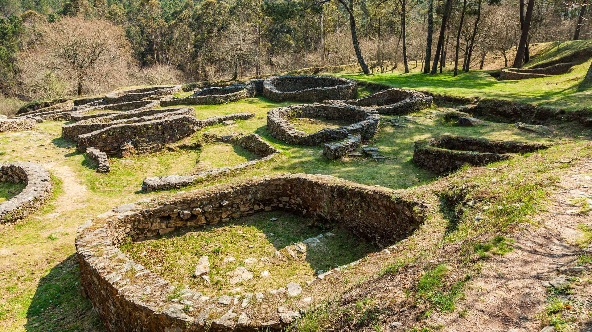 borneiro dreamstime_l_73586573