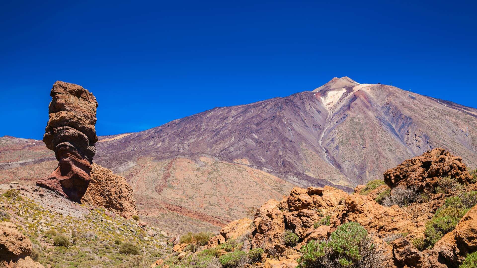 shutterstock_511438594