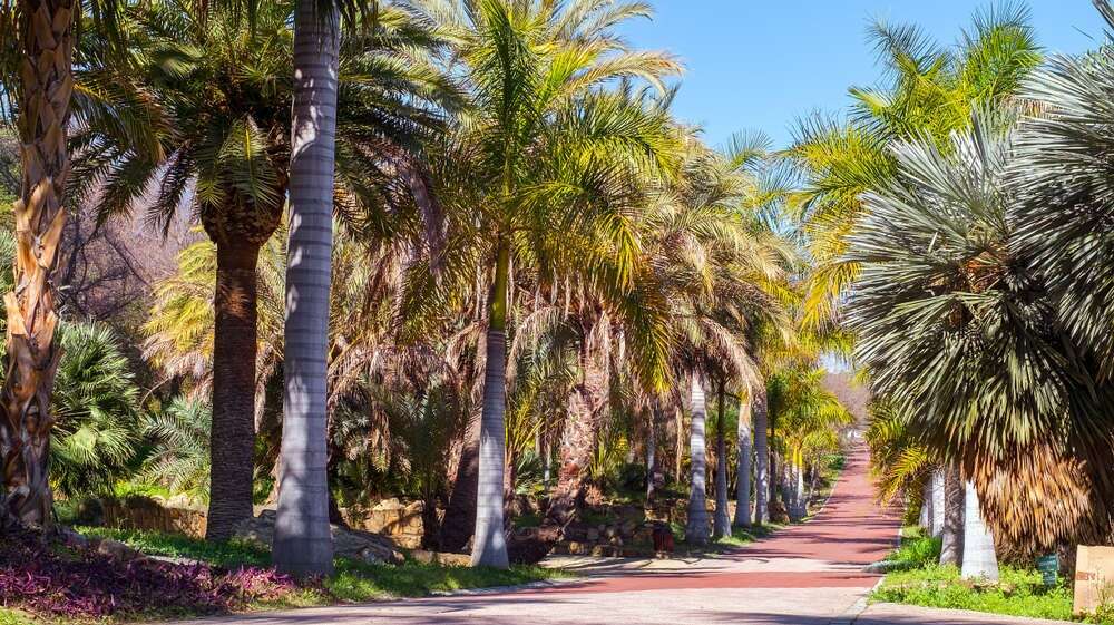 Jardín La Concepción, Málaga. | Shutterstock
