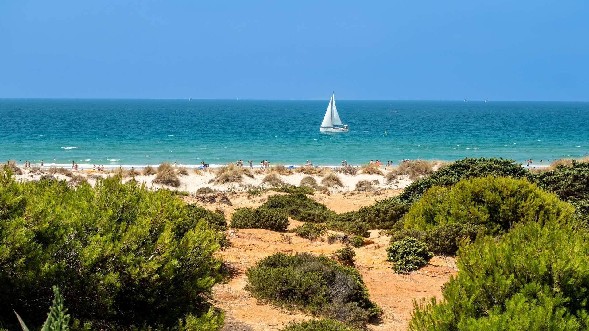 Playa de la Barrosa. | Shutterstock