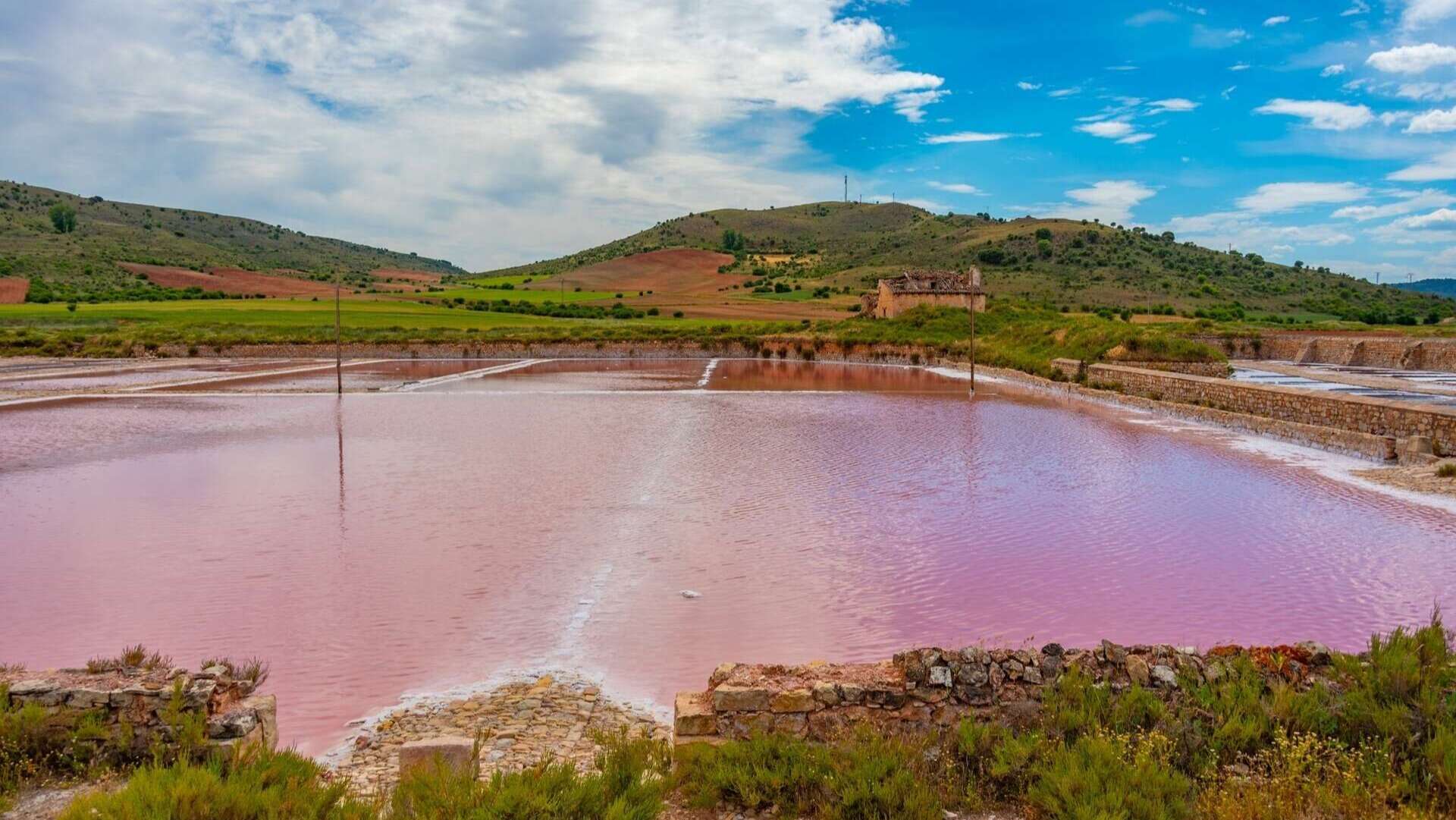 El espejismo rosa de las Salinas de Imón, Guadalajara. | Shutterstock