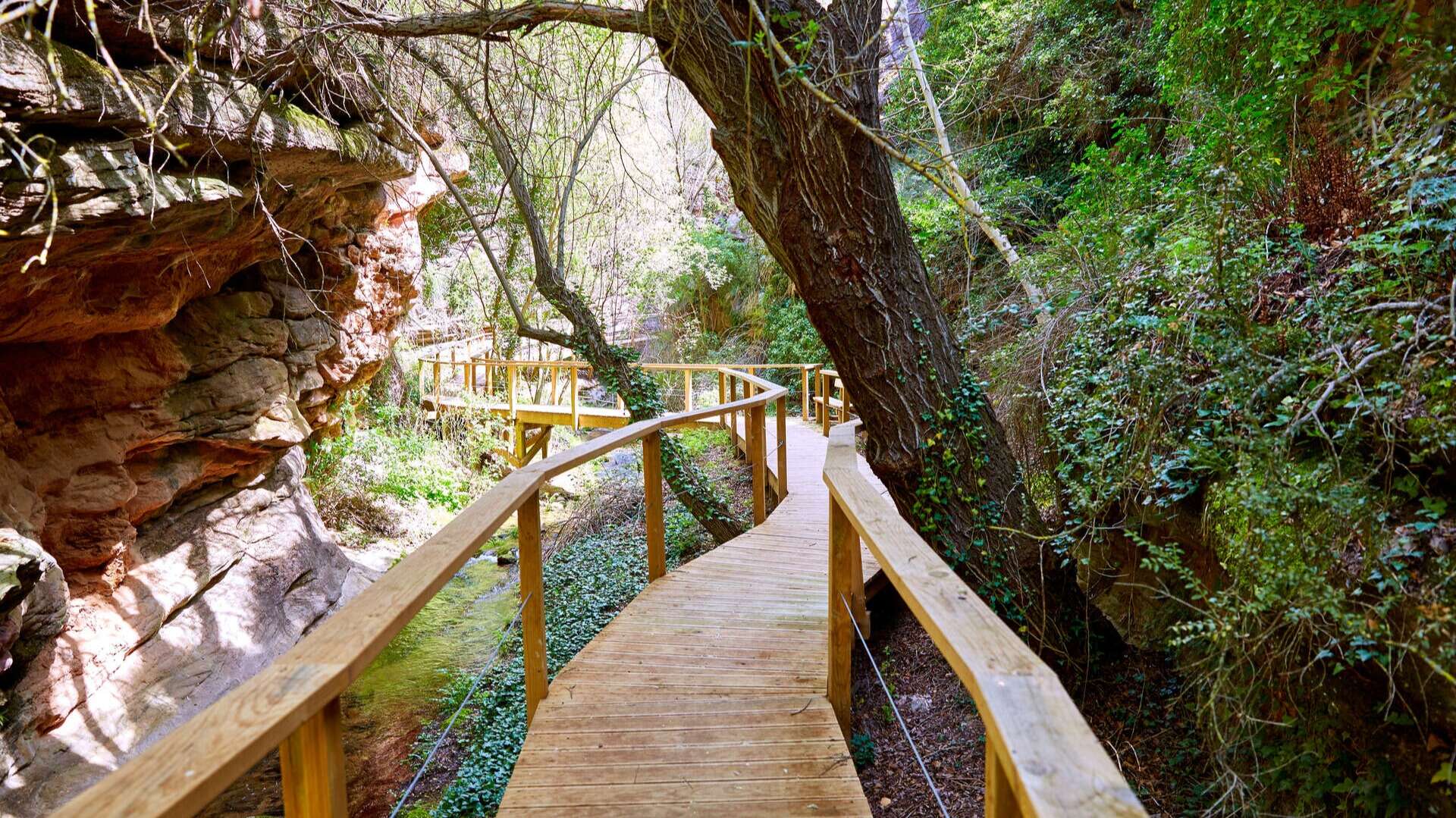 Pasarelas de madera sobre el río Vencherque, en Villar del Humo. | Dreamstime