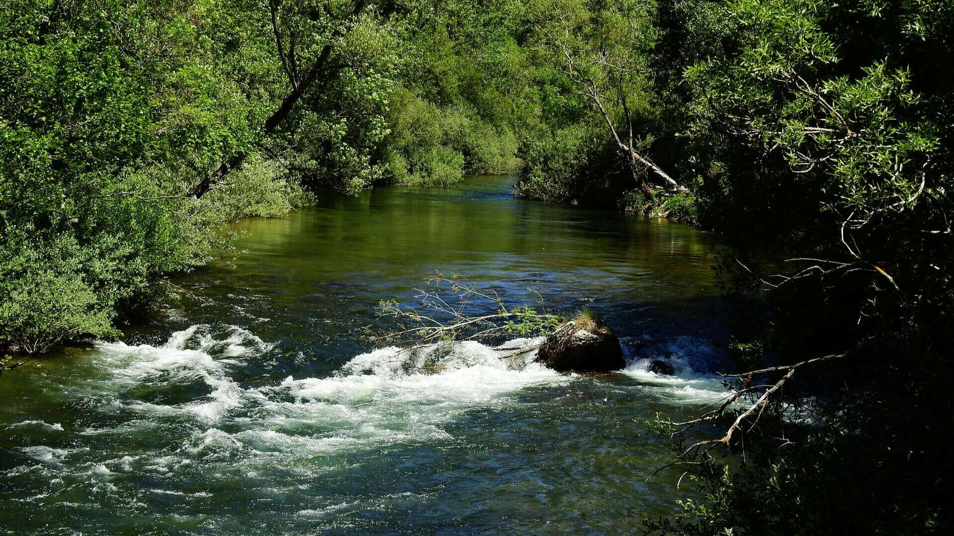 rio porma shutterstock_1438124333