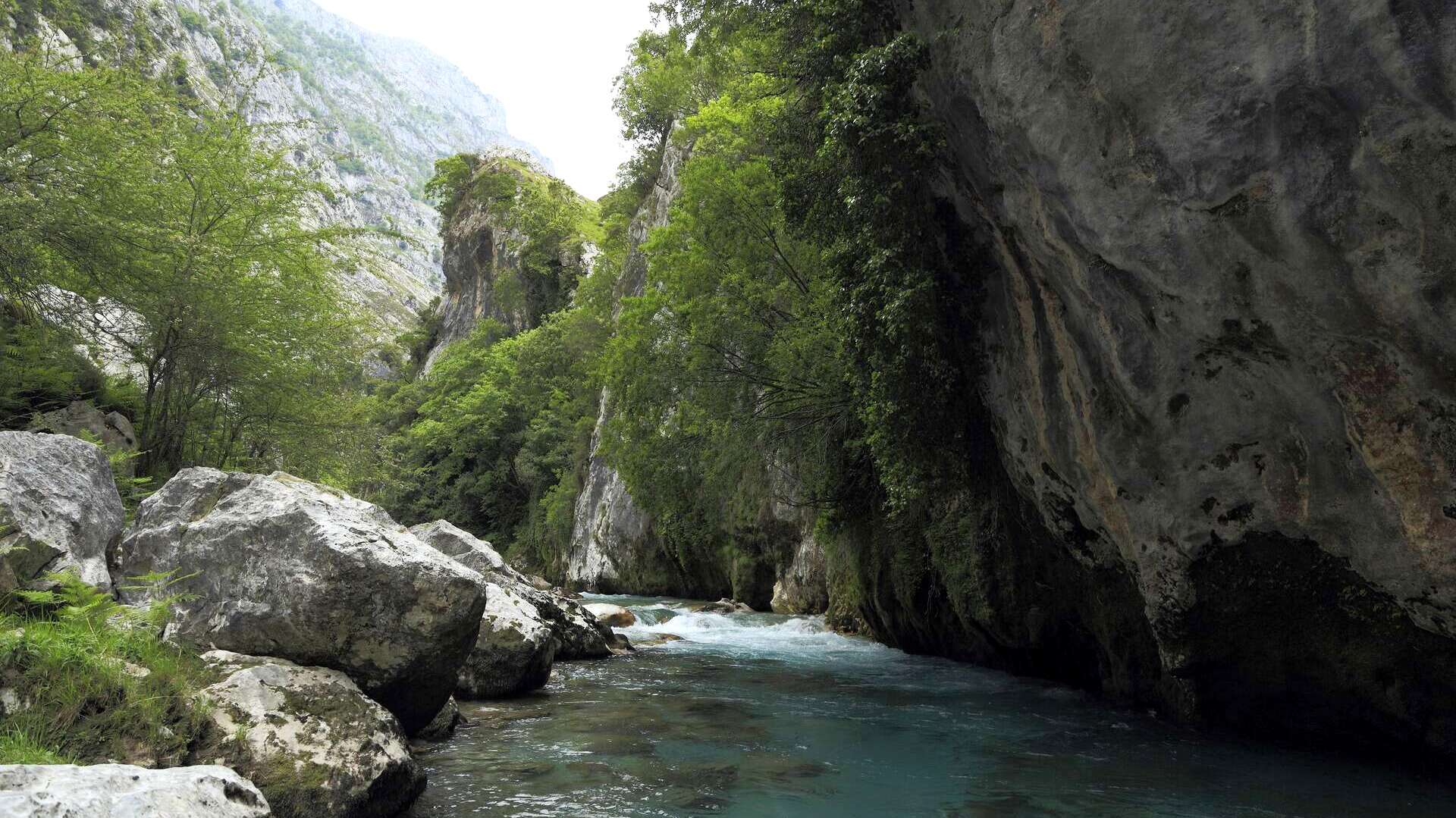rio cares, 
Falk2
wikimedia 


https://commons.wikimedia.org/wiki/File:J22_998_R%C3%ADo_Cares.jpg