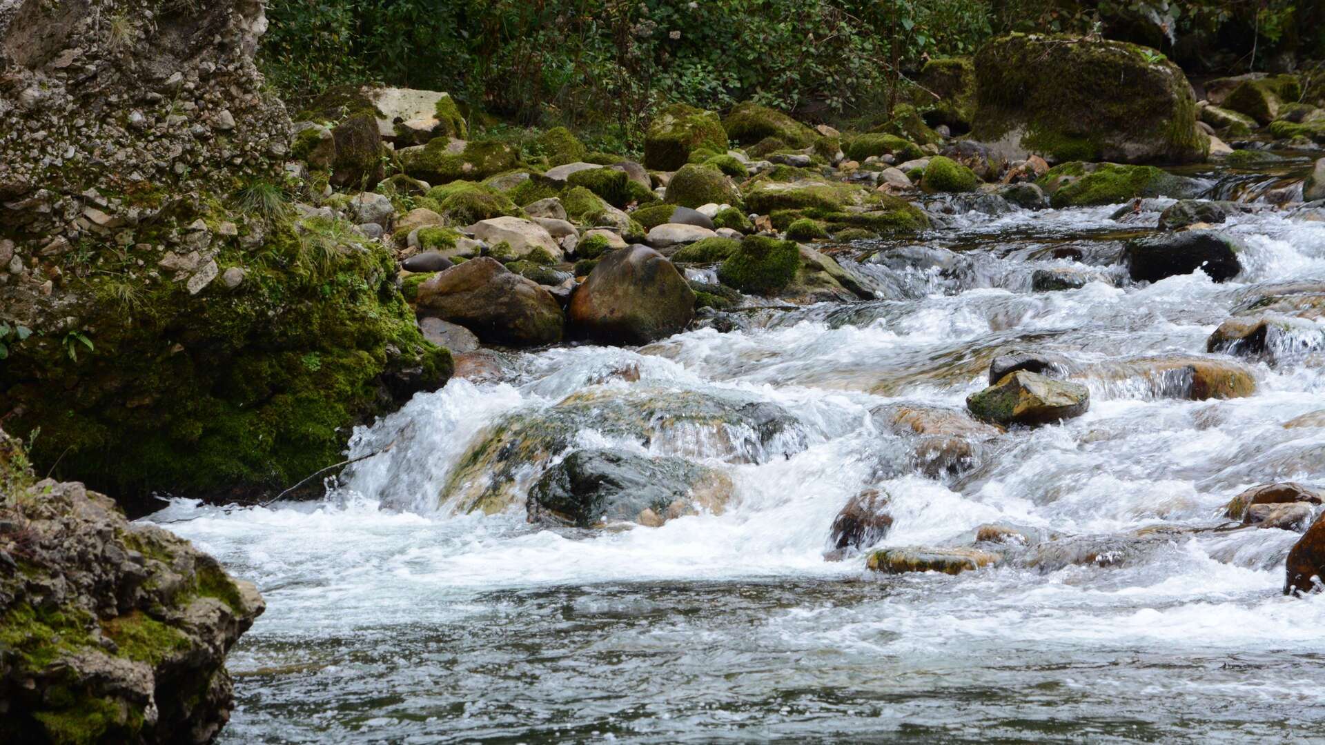 rio deva shutterstock_1529117438