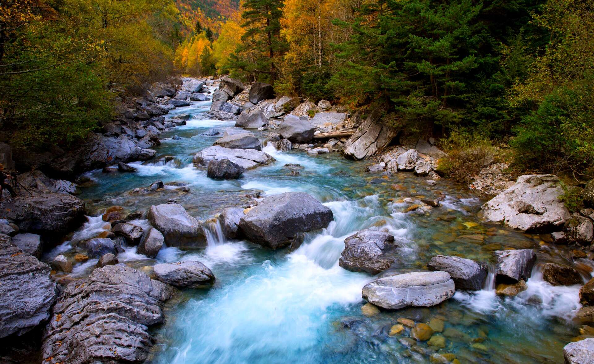 rio ara dreamstime_l_37615230
