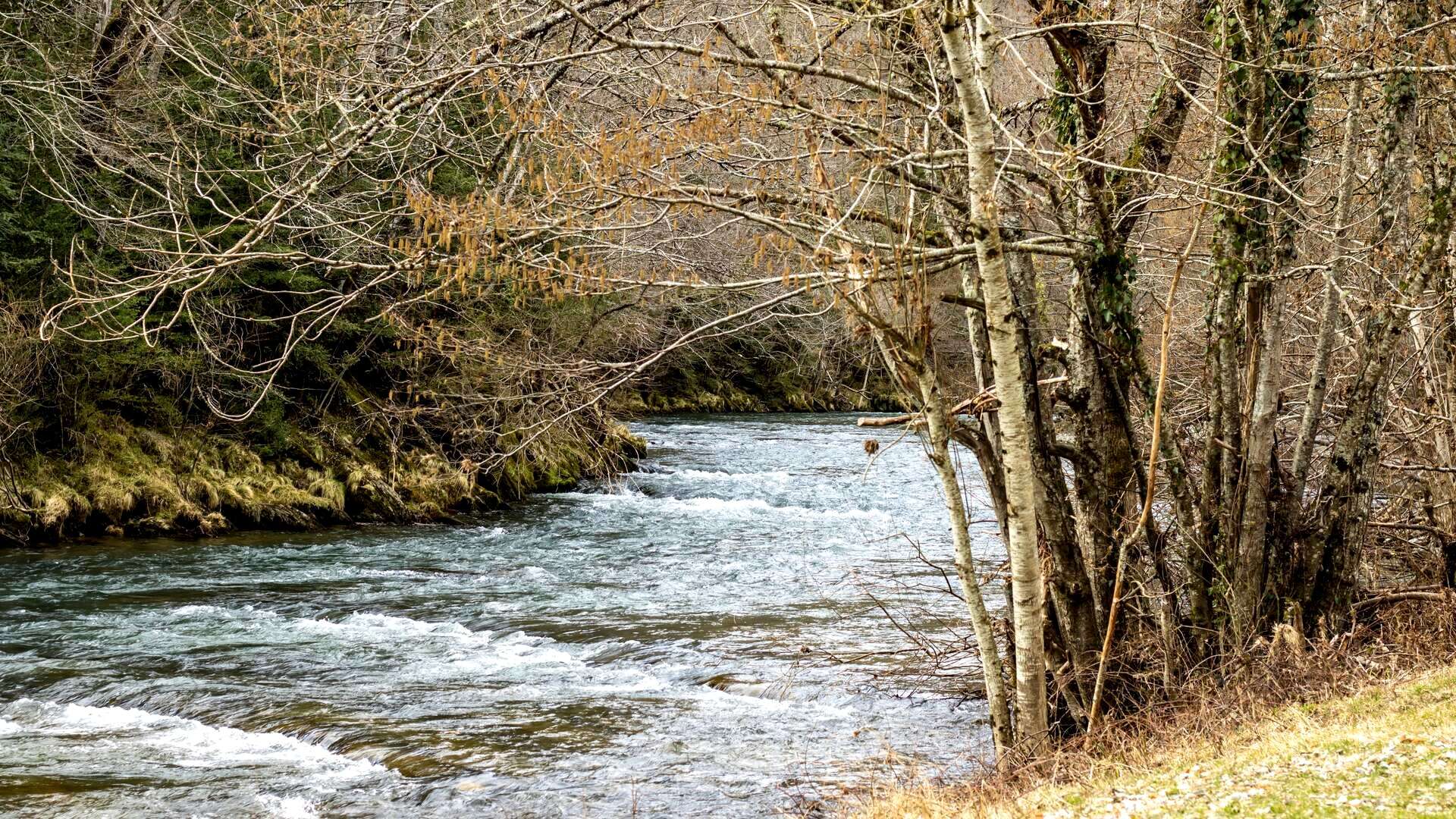 irati shutterstock