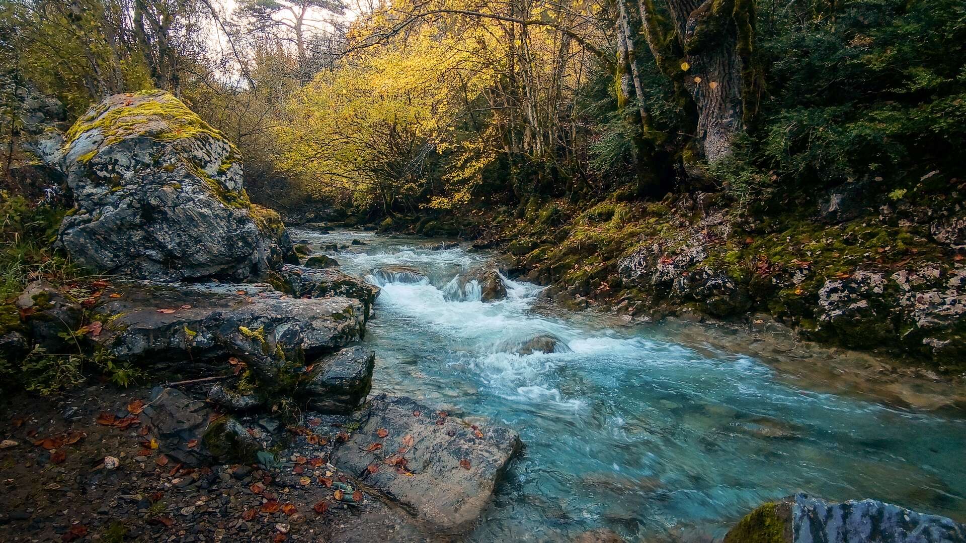 rio ESCA shutterstock_2566583229