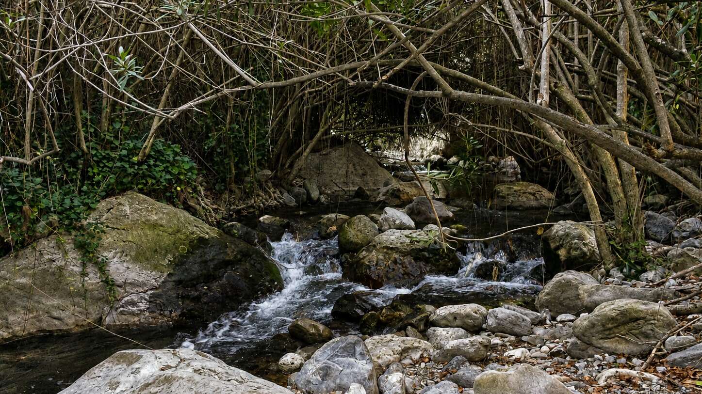 Naturaleza en el entorno del río Cuadros. | Fom45, Wikimedia